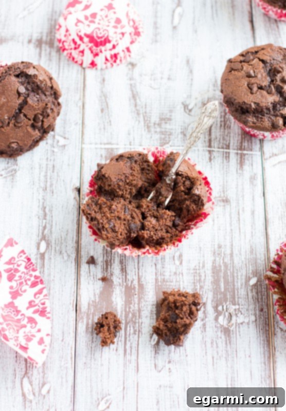 Generously Loaded Dark Chocolate Chip Muffins