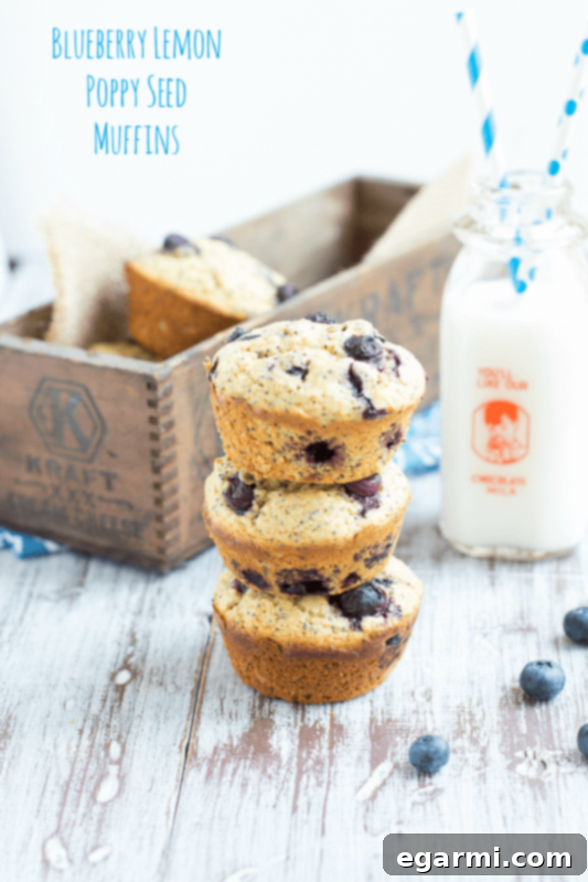 Deliciously moist Blueberry Lemon Poppy Seed Muffins with a golden-brown top