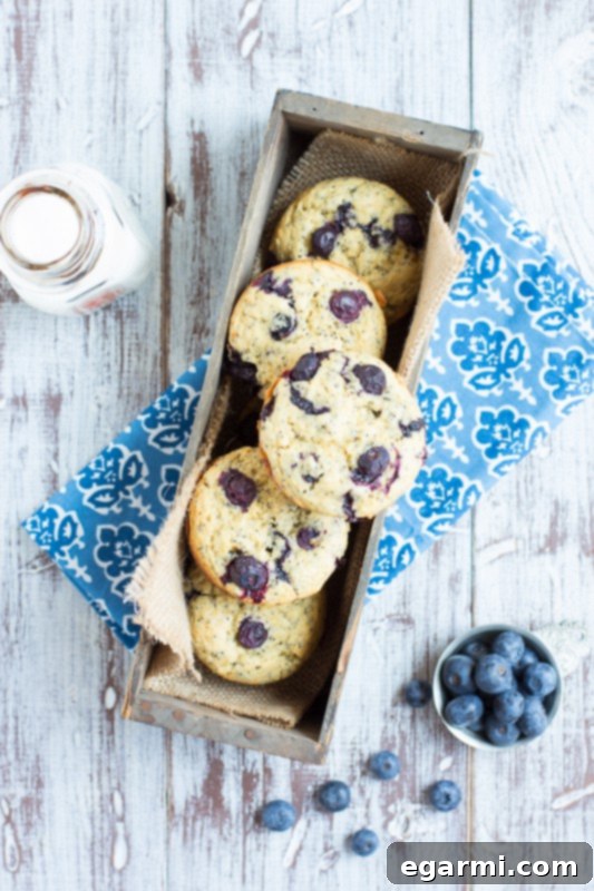 Close-up of freshly baked Blueberry Lemon Poppy Seed Muffins, showcasing the golden crumb and visible poppy seeds