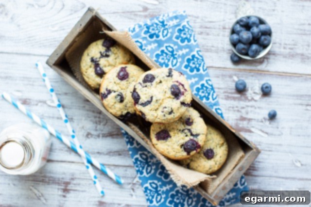 Muffin batter with blueberries and poppy seeds being gently folded in a mixing bowl, illustrating the easy one-bowl method