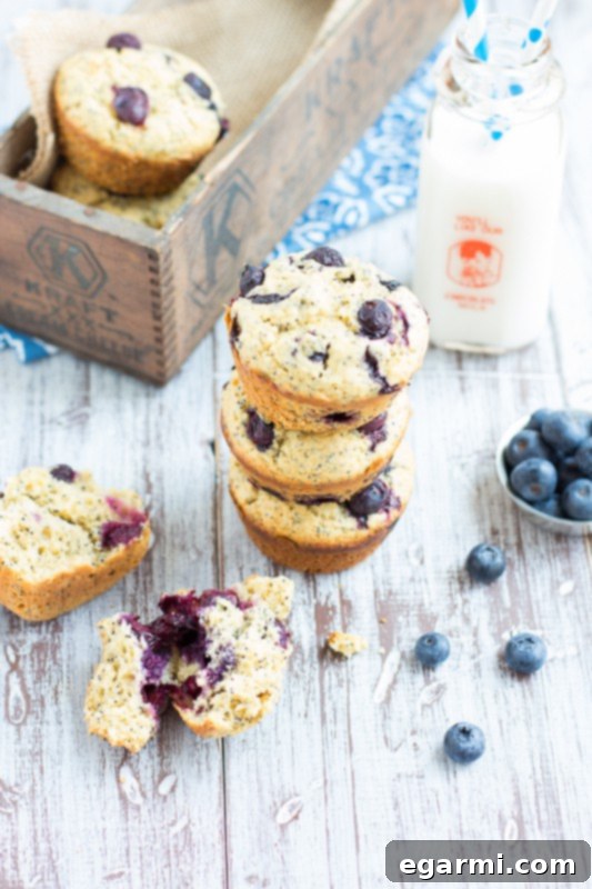 Perfectly baked Blueberry Lemon Poppy Seed Muffins cooling on a metal rack, showcasing their fluffy tops