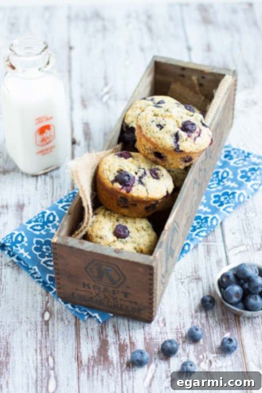 A single Blueberry Lemon Poppy Seed Muffin broken in half, revealing the fluffy, moist interior with vibrant blueberries