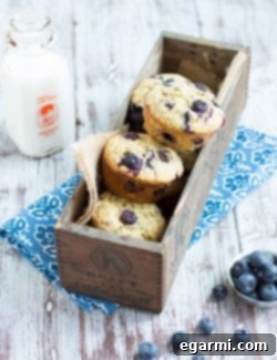 A freshly baked Blueberry Lemon Poppy Seed Muffin on a plate, ready to be enjoyed