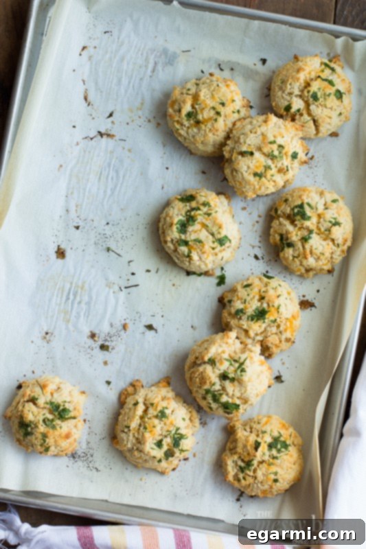 Golden brown Gluten-Free Chesapeake Cheddar Bay Biscuits fresh out of the oven, ready to be enjoyed.