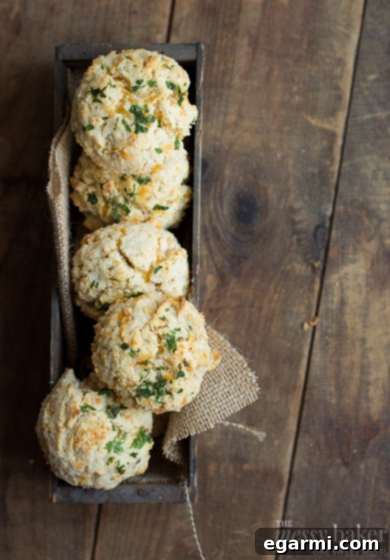 A baking sheet lined with parchment paper, holding dollops of Gluten-Free Chesapeake Cheddar Bay Biscuit dough, brushed with butter and sprinkled with parsley.