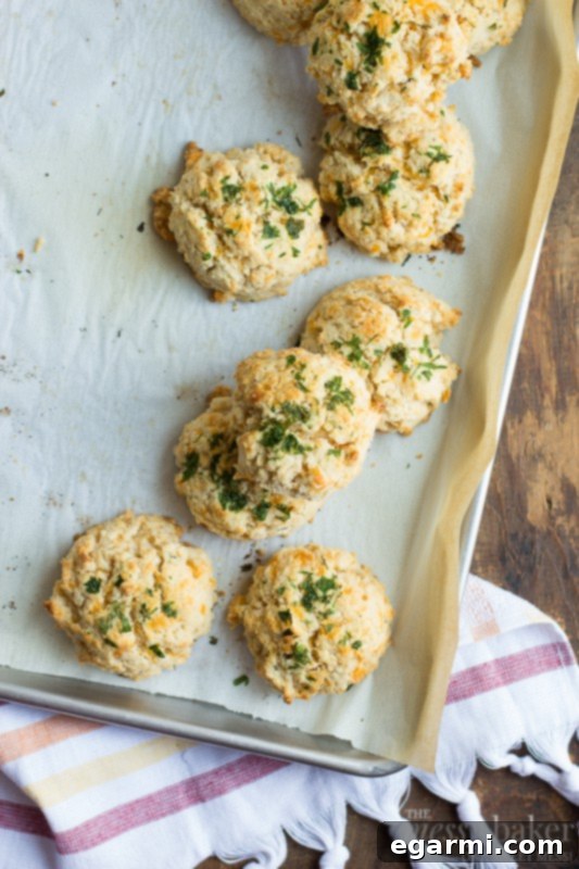 A close-up of baked Gluten-Free Chesapeake Cheddar Bay Biscuits, highlighting their texture and golden finish, ready to be served.
