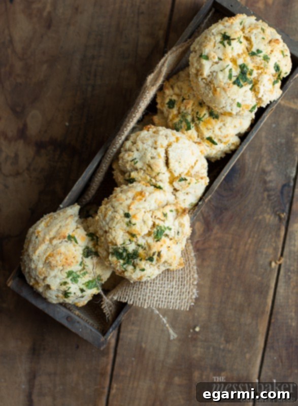 A close-up of several baked Gluten-Free Chesapeake Cheddar Bay Biscuits, with parsley and garlic powder sprinkled on top, straight out of the oven.
