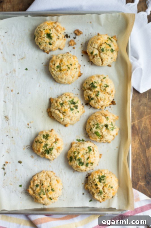 A plate stacked high with Gluten-Free Chesapeake Cheddar Bay Biscuits, invitingly presented and ready to be enjoyed with family and friends.