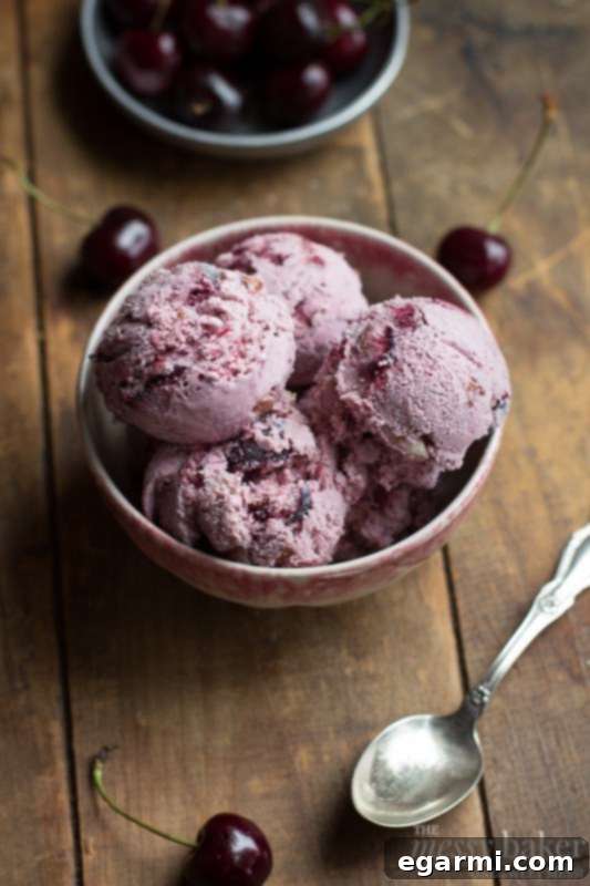 Close-up of Toasted Almond & Cherry Ice Cream scoop, highlighting the rich texture and cherry pieces.