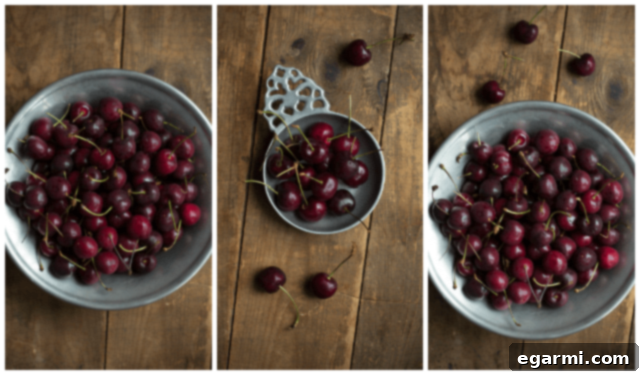 Freshly picked black cherries, ready for pitting and preparation for ice cream.
