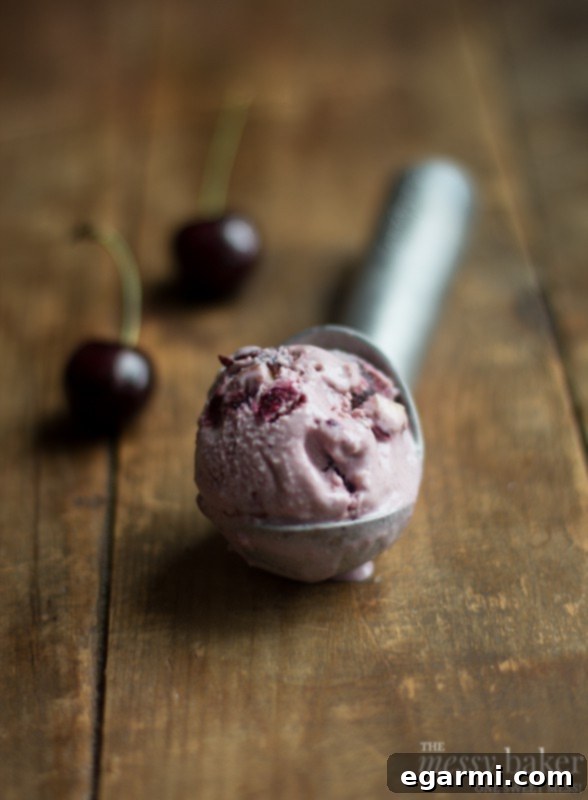 A close-up of the finished Toasted Almond & Cherry Ice Cream, showcasing its smooth texture and visible fruit and nut pieces.