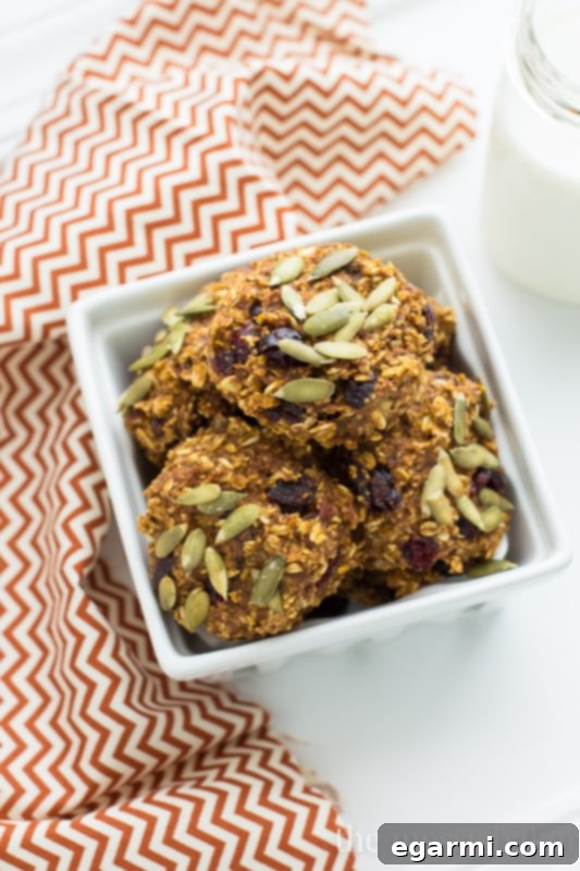 Pumpkin Banana Breakfast Cookies {Gluten-Free + Vegan} | www.themessybakerblog.com