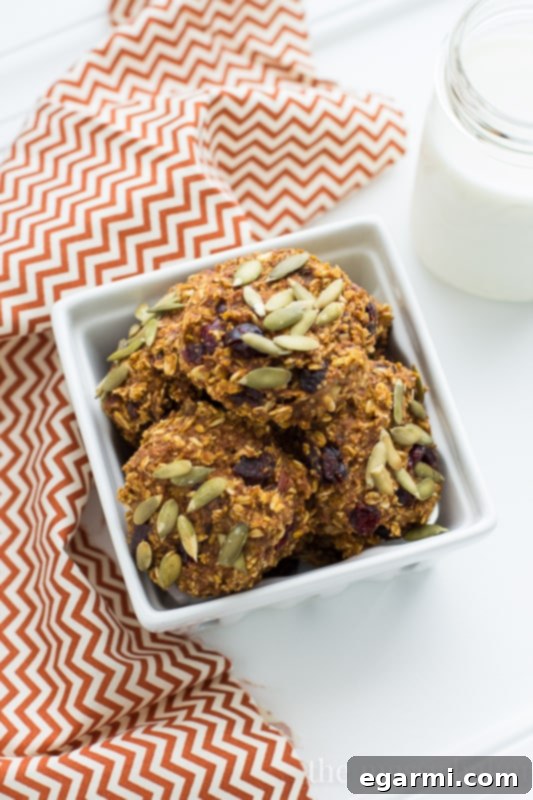 Pumpkin Banana Breakfast Cookies {Gluten-Free + Vegan} | www.themessybakerblog.com