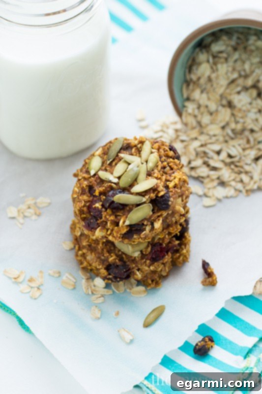 Pumpkin Banana Breakfast Cookies {Gluten-Free + Vegan} | www.themessybakerblog.com
