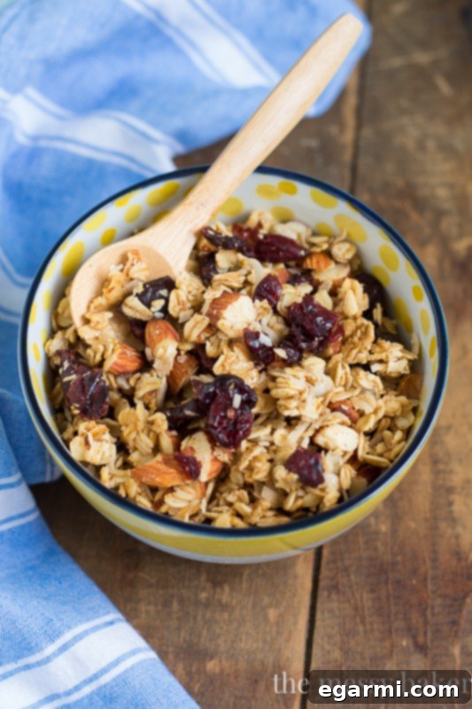 Close-up of Cranberry Orange Granola clusters