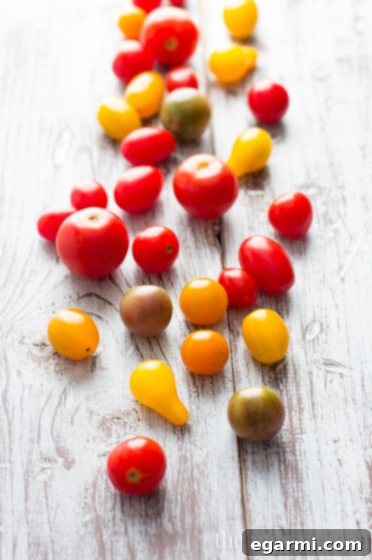 Seasonal Tomatoes for Fresh Ricotta Toasts | Vibrant Tailgating Appetizers