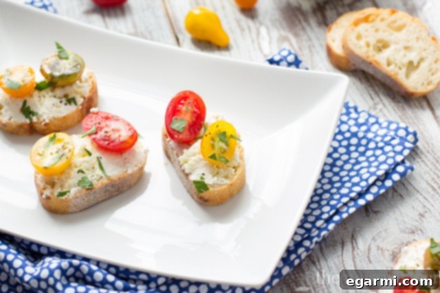 Ricotta Toasts with Tomatoes and Basil | A Gourmet Appetizer for Any Occasion