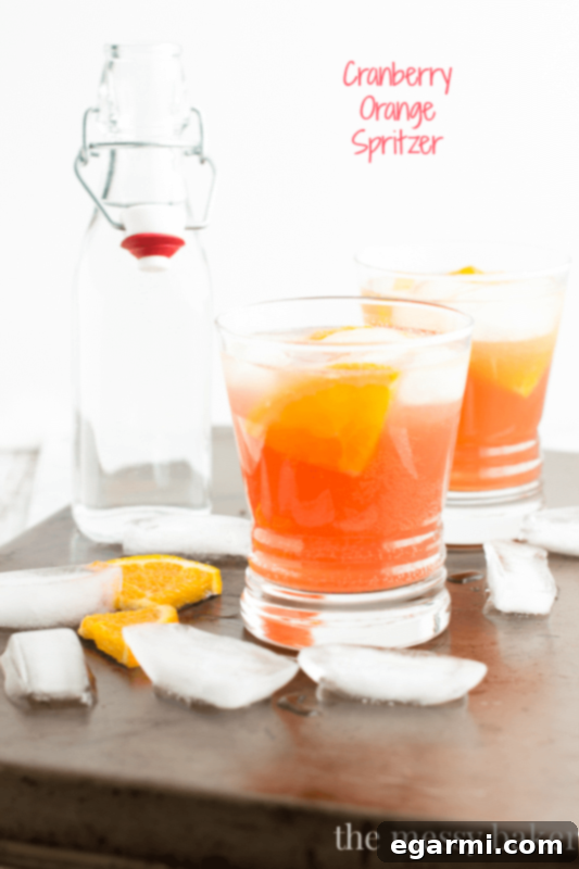 Cranberry Orange Spritzer Cocktail | Refreshing Fall Drink
