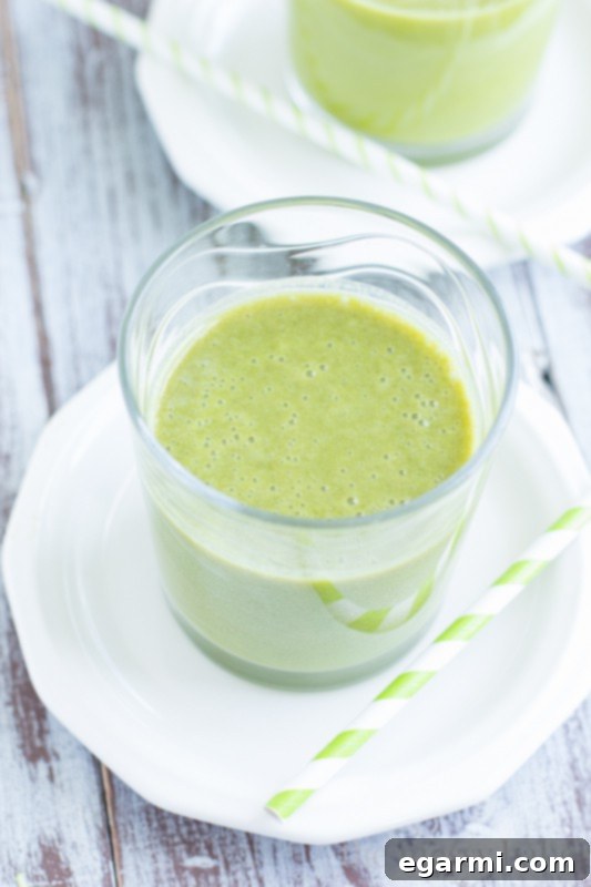 Fruit and Veggie Smoothie with Silk Almond 3 Easy Fruit & Veg Smoothie Recipe | www.themessybakerblog.com