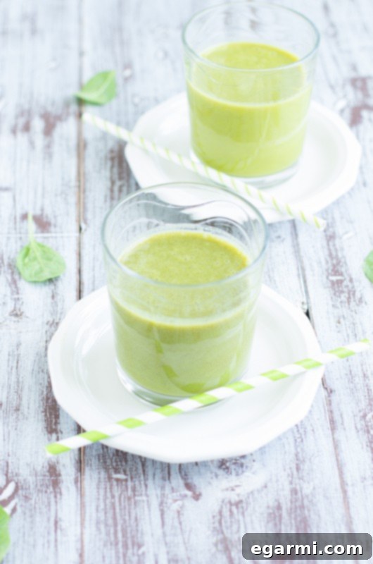 Fruit and Veggie Smoothie with Silk Almond 4 Fruit & Veg Smoothie Recipe | www.themessybakerblog.com