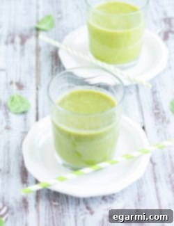 Fruit and Veggie Smoothie with Silk Almond 5 img 6375 4
