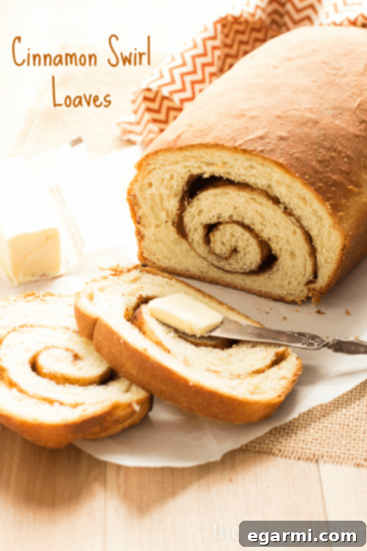 Two golden-brown loaves of Cinnamon Swirl Bread, fresh from the oven, showcasing their beautiful swirl pattern and glistening crust, presented on a rustic surface.