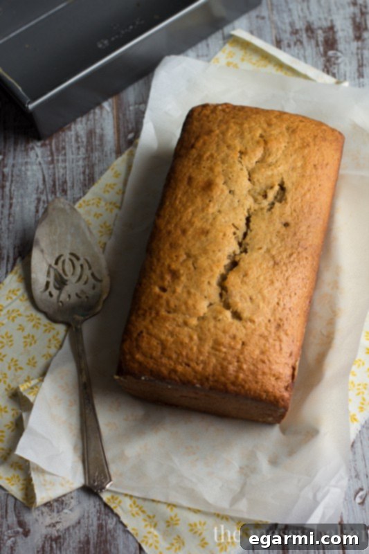 Close-up of a slice of Nutella & Toasted Pecan Swirl Banana Bread showing the delicious swirl.