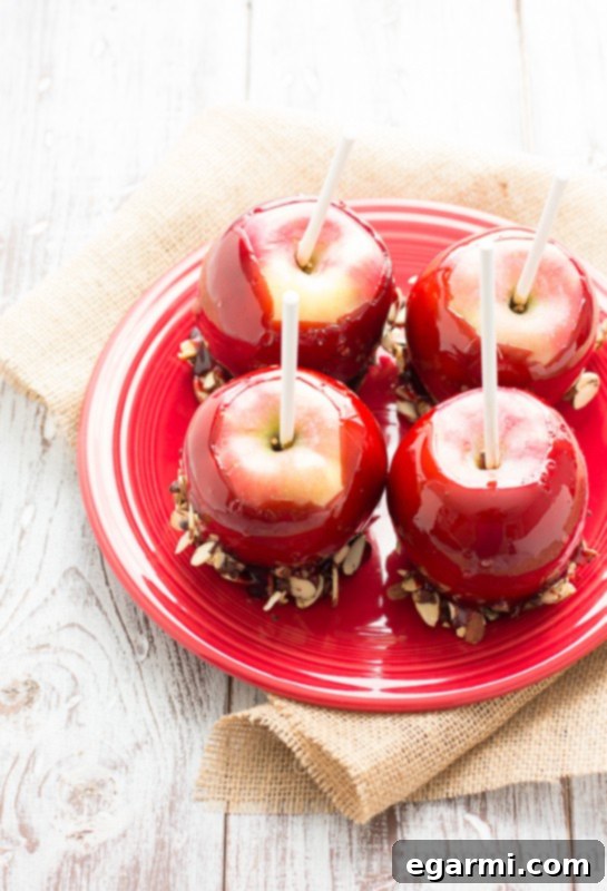 Gourmet Red Moscato Candied Apples Dipped in Toasted Almonds and Semi-Sweet Chocolate