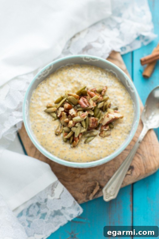 Creamy Pumpkin Chia Seed Pudding with Maple Pecans & Pumpkin Seeds for a healthy breakfast. www.themessybakerblog.com