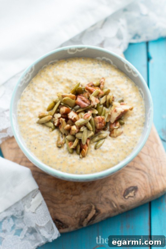 Pumpkin Chia Seed Pudding with Maple Pecans & Pumpkin Seeds - a healthy breakfast or snack inspired by the flavors of fall. www.themessybakerblog.com