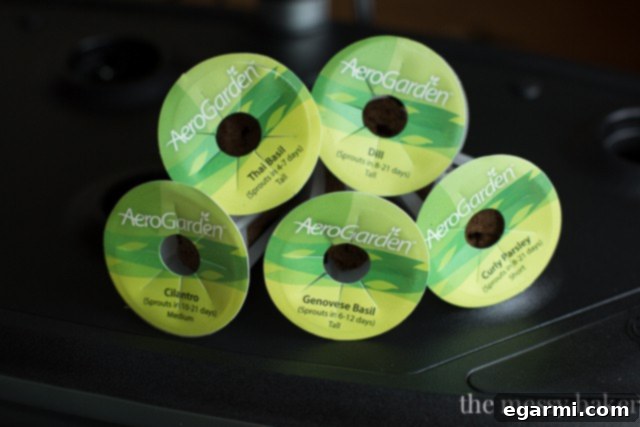 AeroGarden Review | Grow Lights and Garden Coach Features