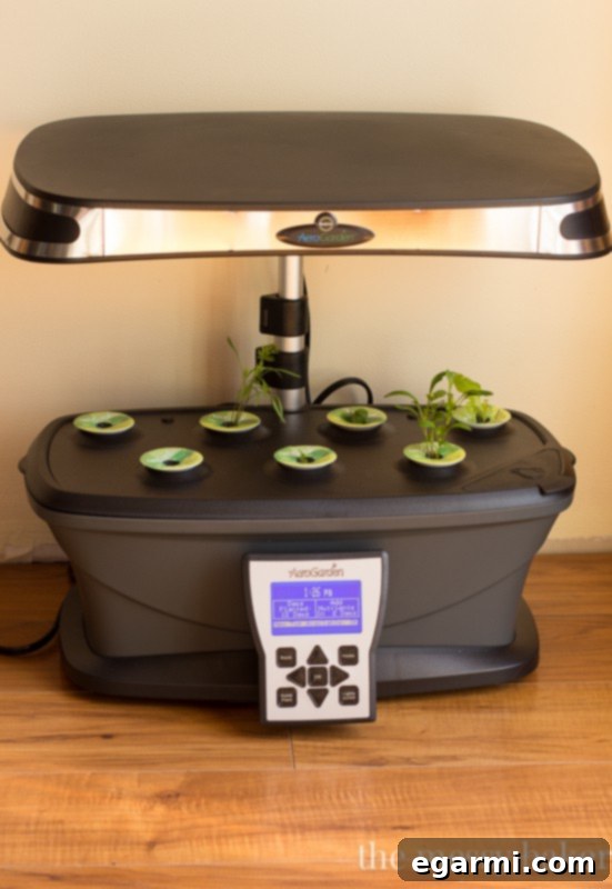 AeroGarden Review | Fresh, Homegrown Produce Made Easy