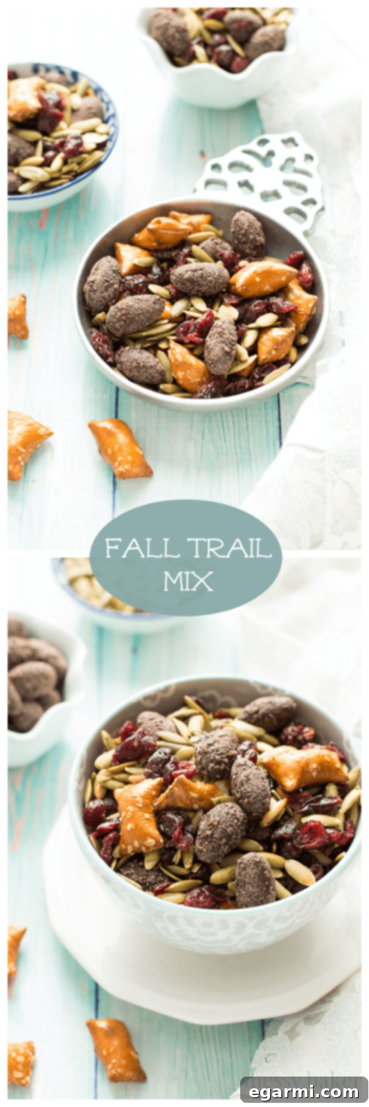 Artistic display of homemade Easy Fall Trail Mix in a glass jar, featuring roasted pumpkin seeds, dried cranberries, peanut butter filled pretzels, and dark chocolate covered almonds, emphasizing its aesthetic appeal and snackability for any autumn moment. www.themessybakerblog.com