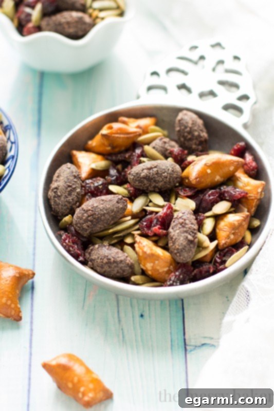 A close-up of Easy Fall Trail Mix, highlighting the rich textures and colors of roasted pumpkin seeds, plump dried cranberries, unique peanut butter filled pretzels, and luscious dark chocolate covered almonds. www.themessybakerblog.com