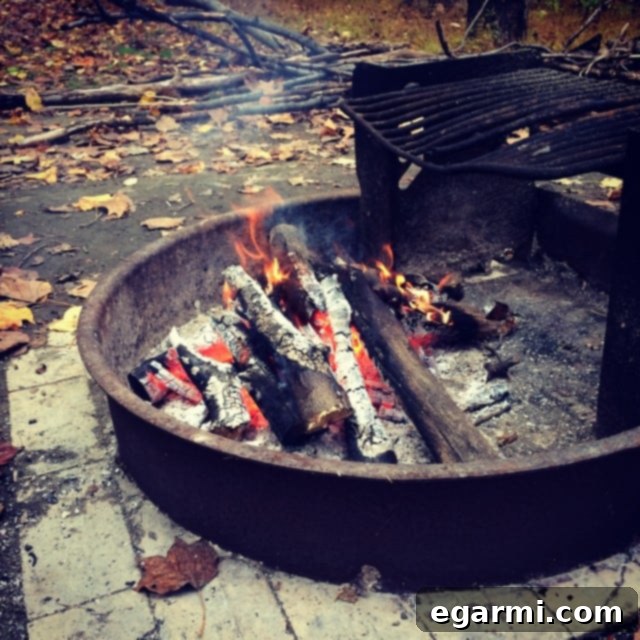 A warm, crackling campfire in the woods, perfect for a cozy fall getaway and digital detox.