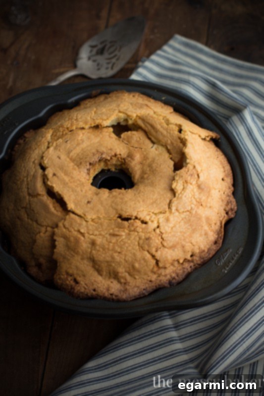 Chocolate Hazelnut Marbled Cream Cheese Pound Cake 3 Close-up of Chocolate Hazelnut Swirl Cream Cheese Pound Cake on a Stand
