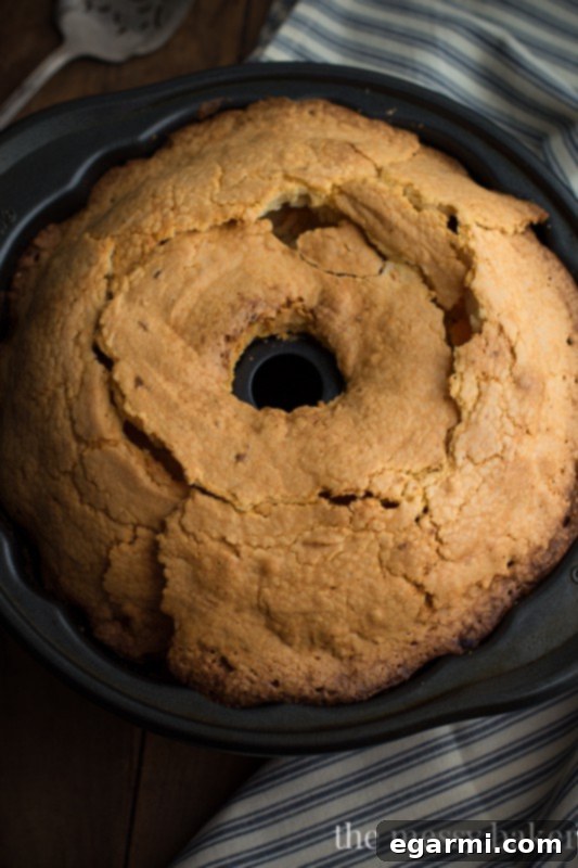 Chocolate Hazelnut Marbled Cream Cheese Pound Cake 6 Ingredients for Chocolate Hazelnut Swirl Cream Cheese Pound Cake