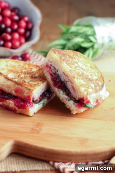 Delicious Turkey & Cranberry Panini with Tarragon Goat Cheese Aioli – The Perfect Thanksgiving Leftover Sandwich