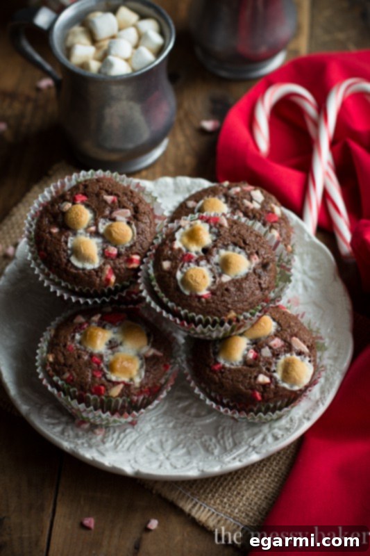 Closeup of Hot Chocolate Peppermint Muffins, showcasing the texture and toppings