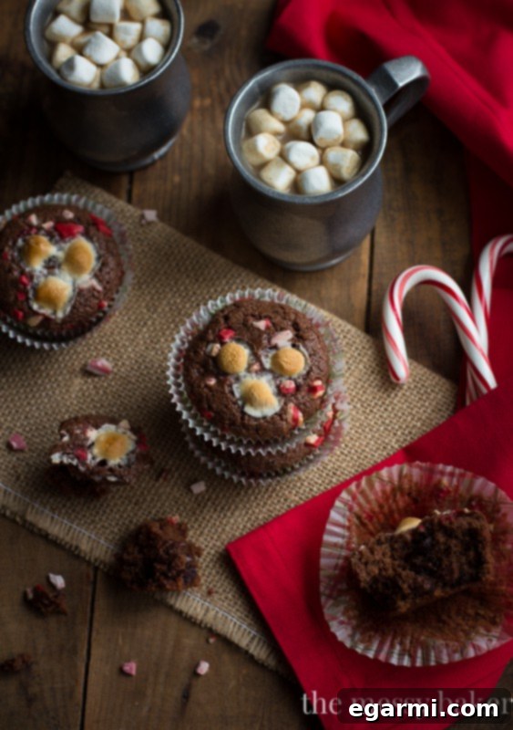 Freshly baked Hot Chocolate Peppermint Muffins cooling on a rack