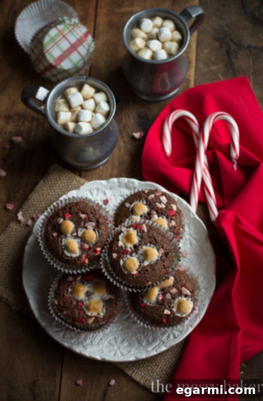 Serving of Hot Chocolate Peppermint Muffins with a warm beverage