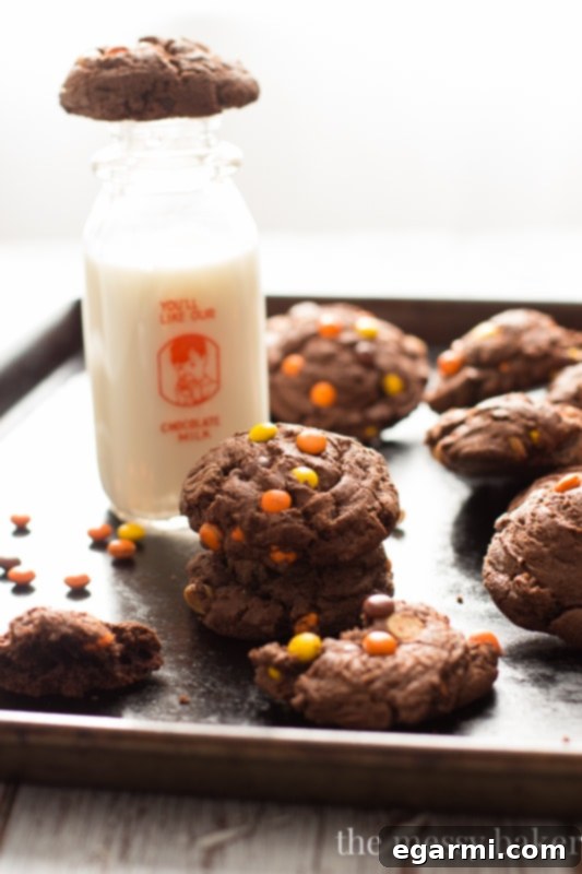 Irresistible Reese's Pieces Chocolate Pudding Cookies 2 Chocolate Reese's Pieces Pudding Cookies | www.themessybakerblog.com