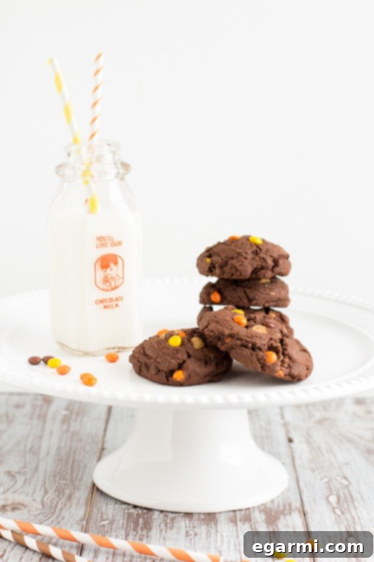 Irresistible Reese's Pieces Chocolate Pudding Cookies 3 Chocolate Reese's Pieces Pudding Cookies | www.themessybakerblog.com