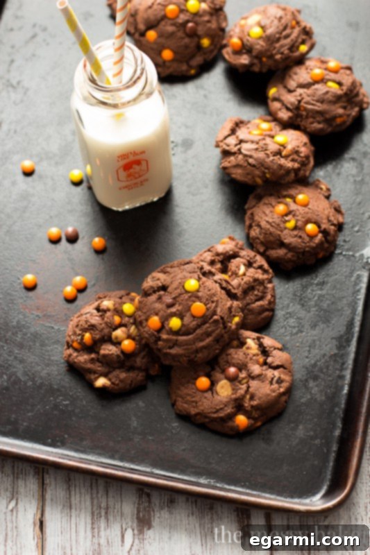 Irresistible Reese's Pieces Chocolate Pudding Cookies 4 Chocolate Reese's Pieces Pudding Cookies | www.themessybakerblog.com
