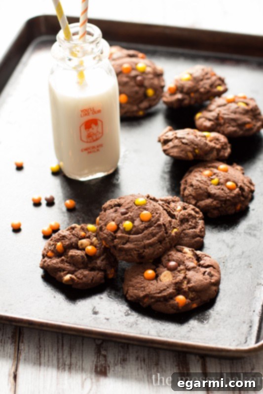 Irresistible Reese's Pieces Chocolate Pudding Cookies 5 Chocolate Reese's Pieces Pudding Cookies | www.themessybakerblog.com