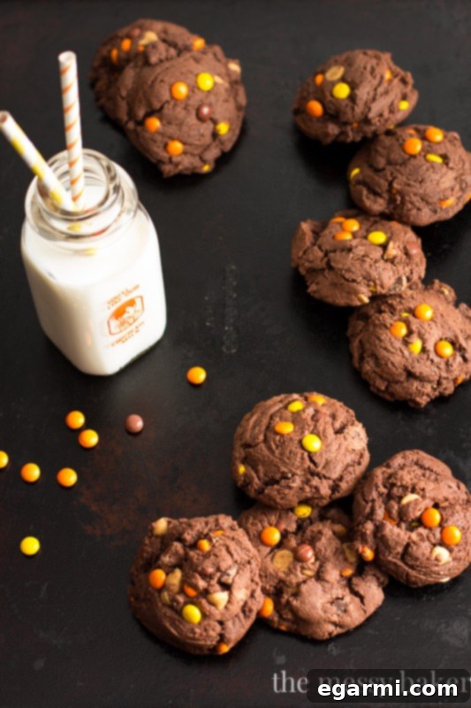 Irresistible Reese's Pieces Chocolate Pudding Cookies 6 Chocolate Reese's Pieces Pudding Cookies | www.themessybakerblog.com