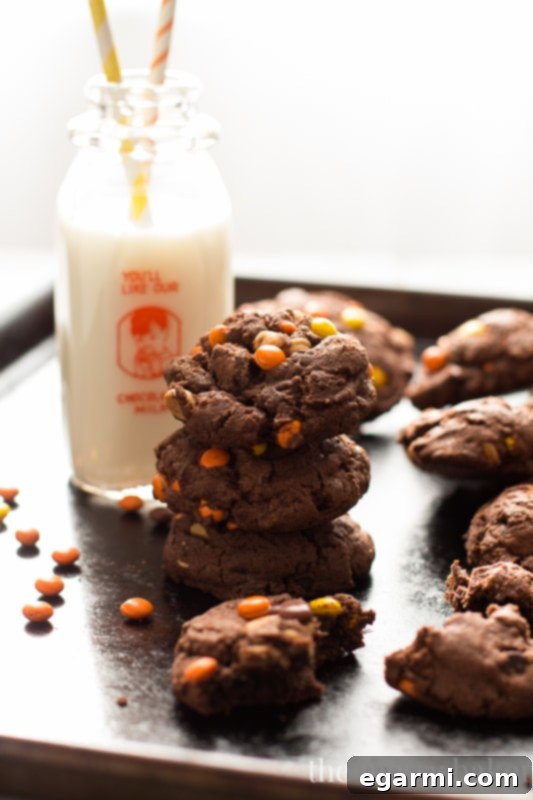 Irresistible Reese's Pieces Chocolate Pudding Cookies 7 Chocolate Reese's Pieces Pudding Cookies | www.themessybakerblog.com