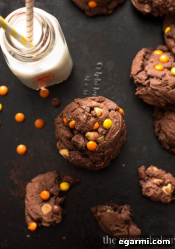 Irresistible Reese's Pieces Chocolate Pudding Cookies 8 Chocolate Reese's Pieces Pudding Cookies | www.themessybakerblog.com