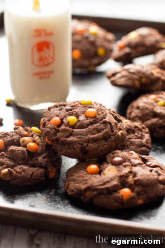 Irresistible Reese's Pieces Chocolate Pudding Cookies 9 Chocolate Reese's Pieces Pudding Cookies | www.themessybakerblog.com