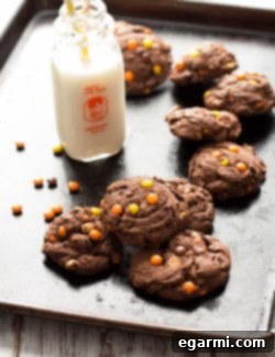 Irresistible Reese's Pieces Chocolate Pudding Cookies 10 Finished Chocolate Reese's Pieces Pudding Cookies